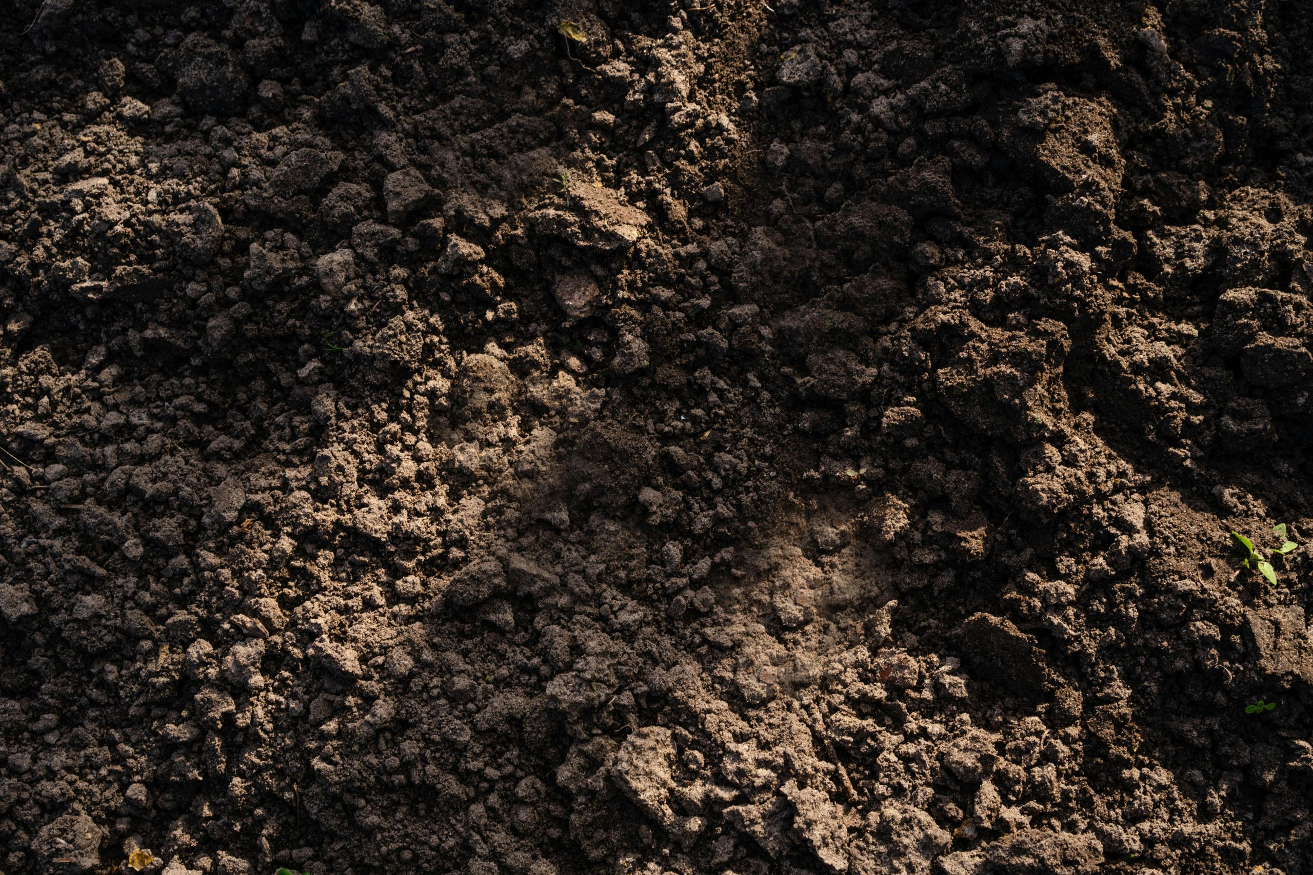 Terre végétale de qualité près de chez soi