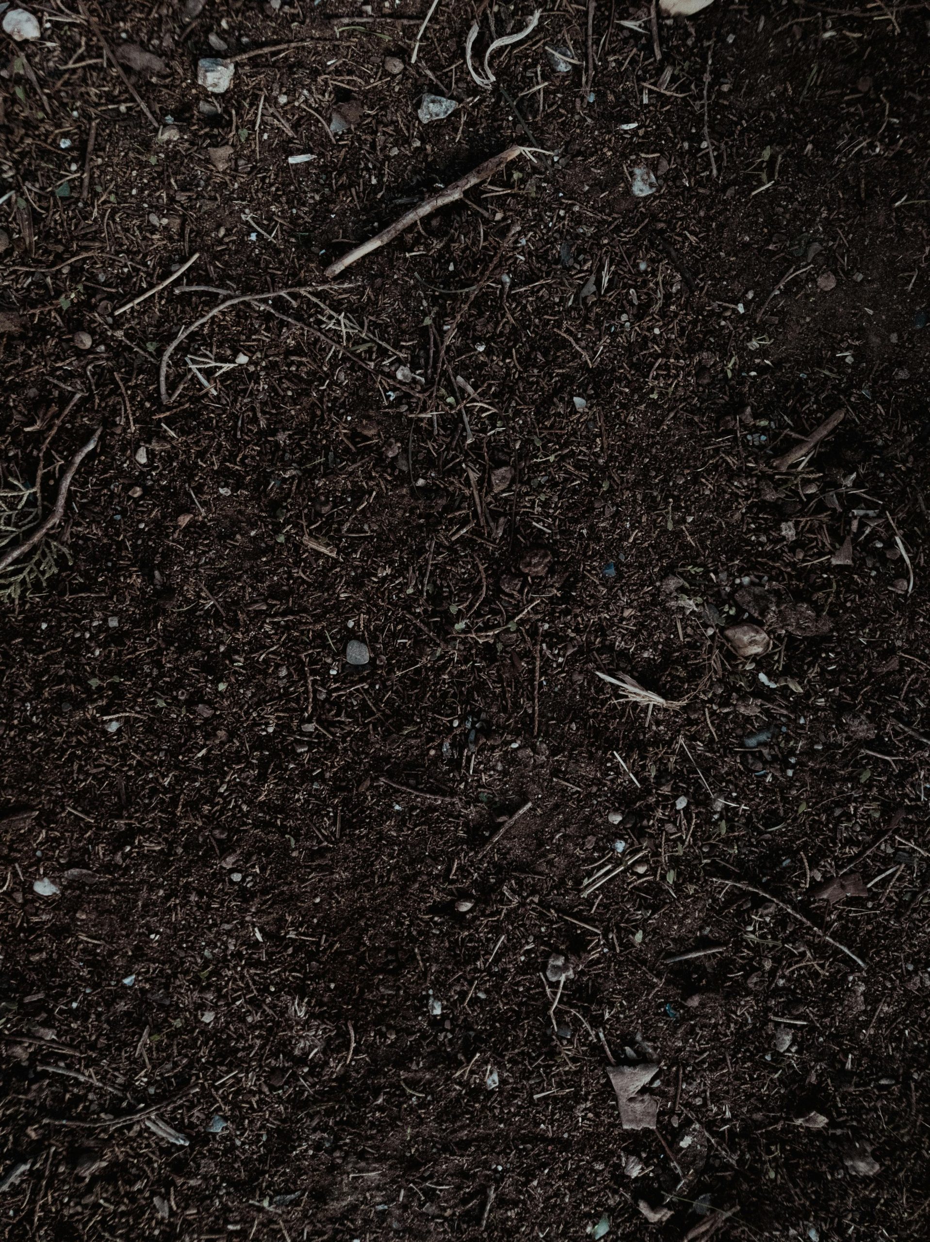 Terre végétale de qualité - vente autour de moi