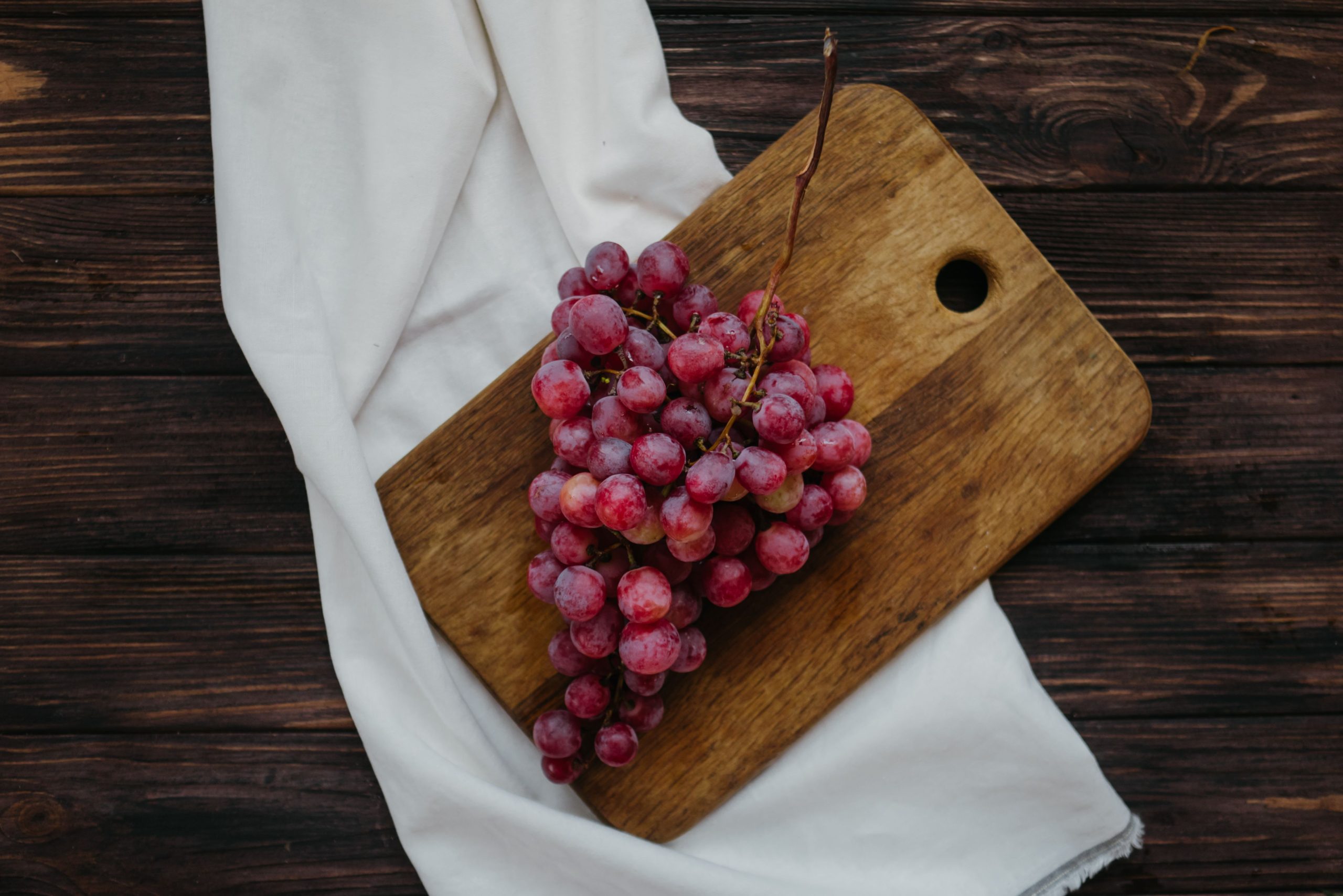 Bouture de vignes au jardin réussie