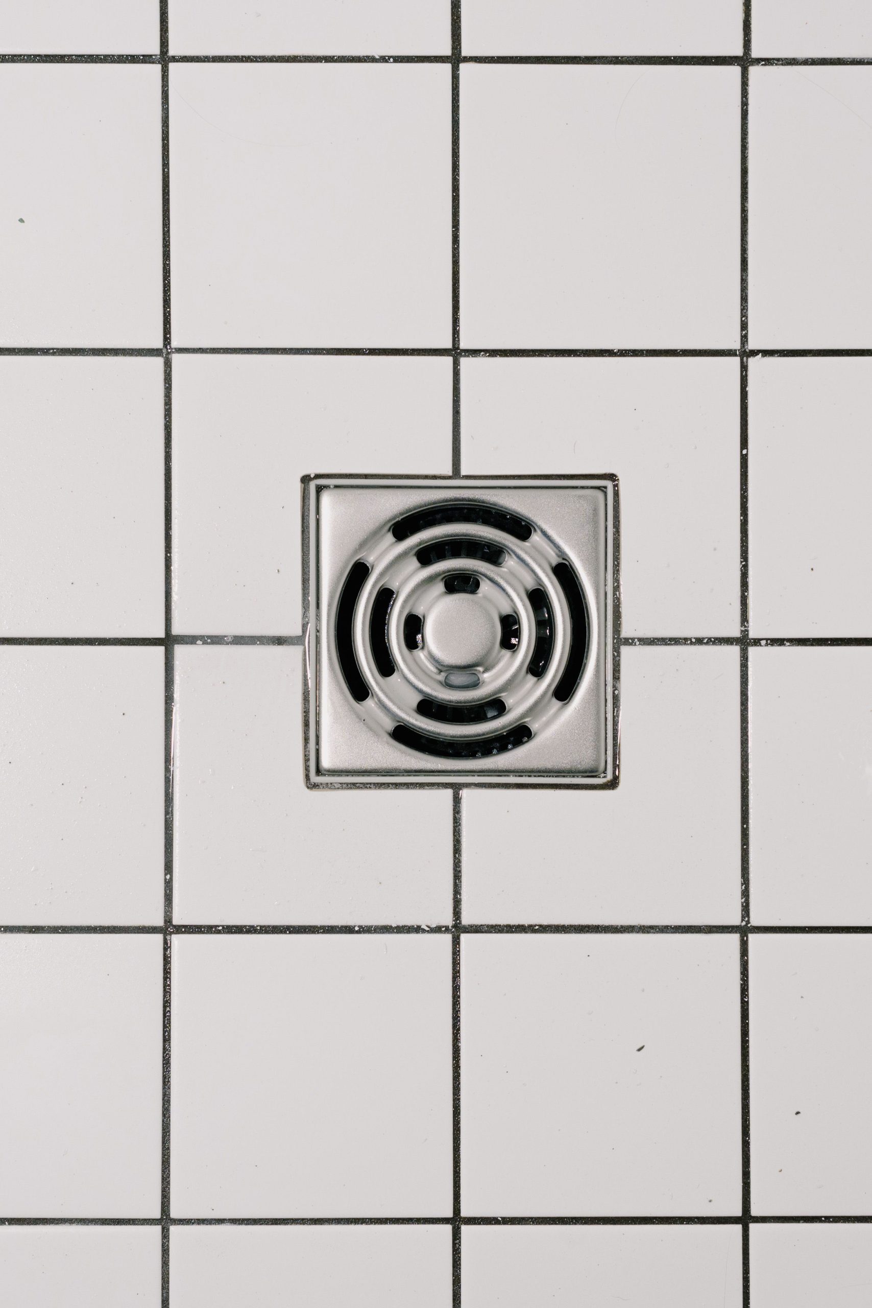 Top view of white ceramic tile floor with stainless steel square shaped cover of drain in contemporary shower Vue de dessus d'un sol en carrelage blanc avec couvercle de drain de forme carrée en acier inoxydable dans une douche contemporaine