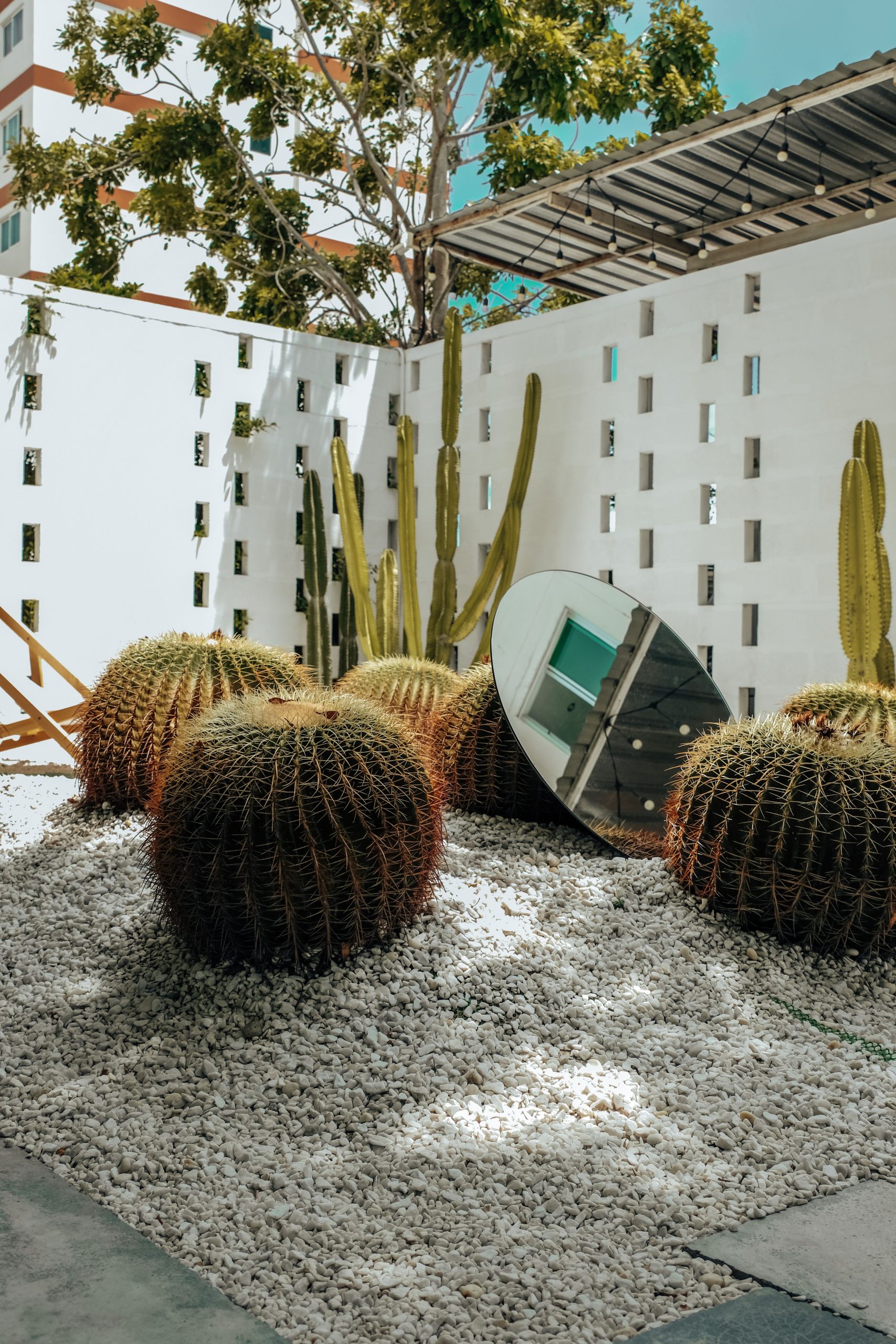 Plantes vivaces avec parterre minéral
